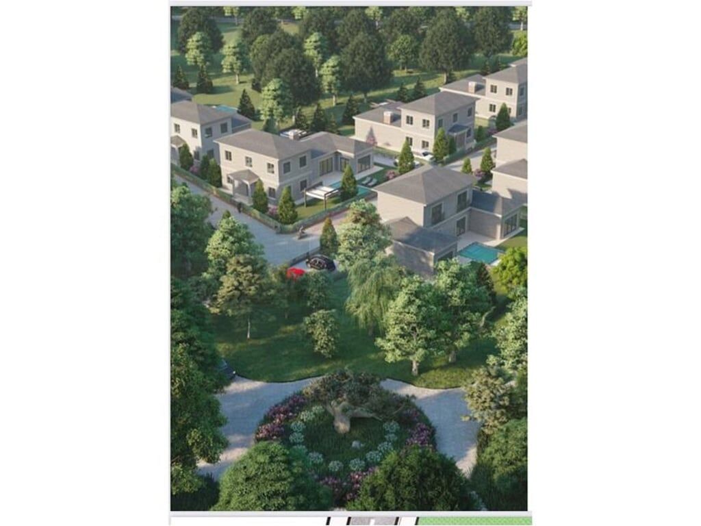 VILE PER SHITJE NE PETRELE