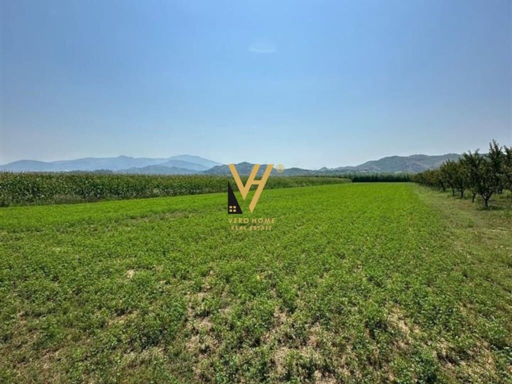 LAND FOR SALE 13,000 M2 IN VORE 1,170,000 EURO