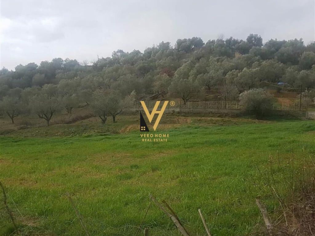 LAND FOR SALE 6,500 M2 IN MARQINET, VORE 160,000 EURO