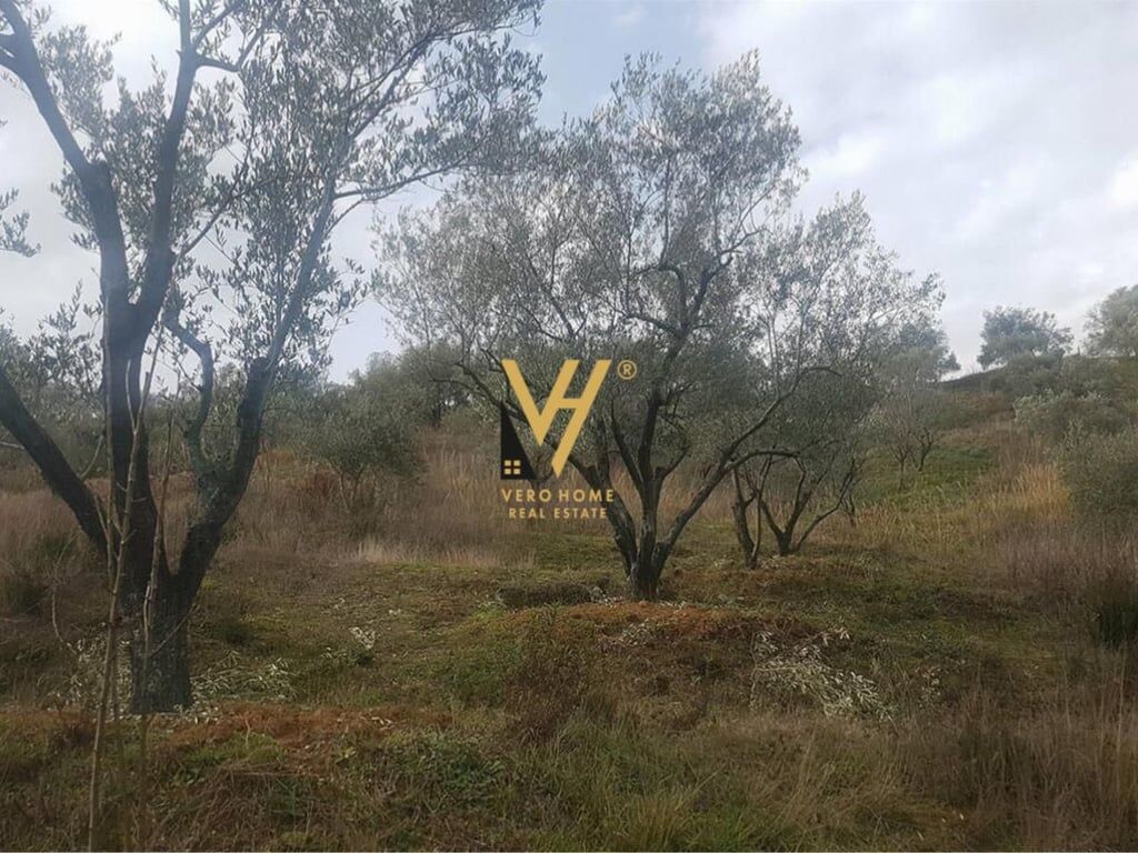 LAND FOR SALE 6,500 M2 IN MARQINET, VORE 160,000 EURO