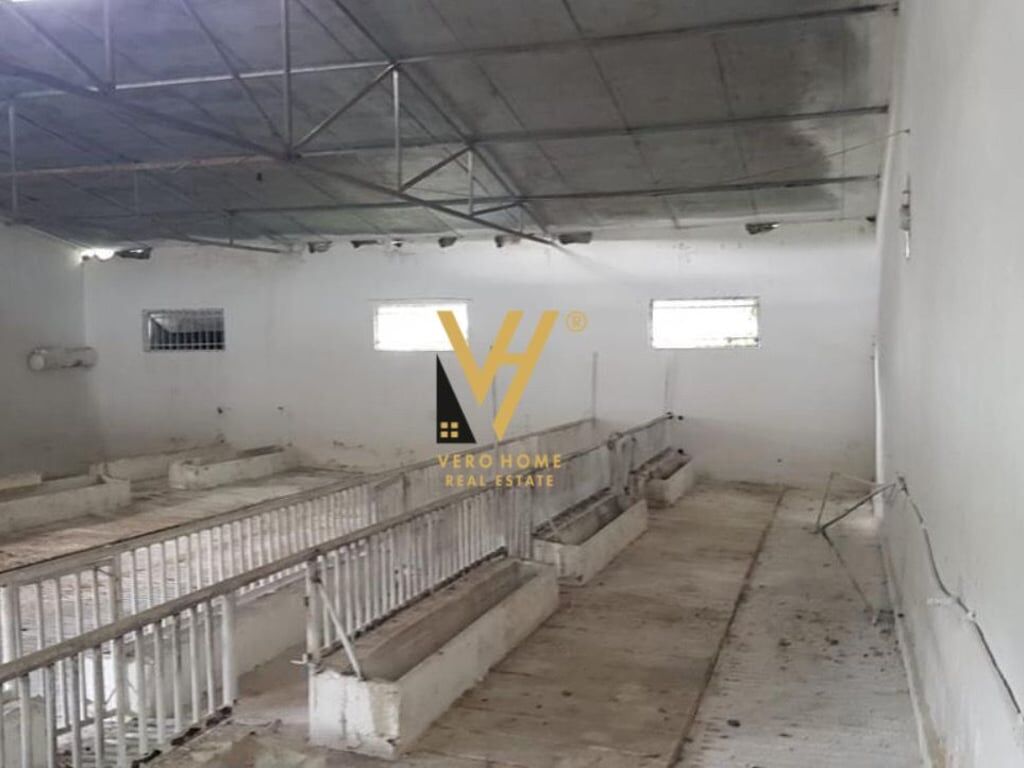 SHITET FERME 1.400 M2 NE BALDUSHK 300.000 EURO