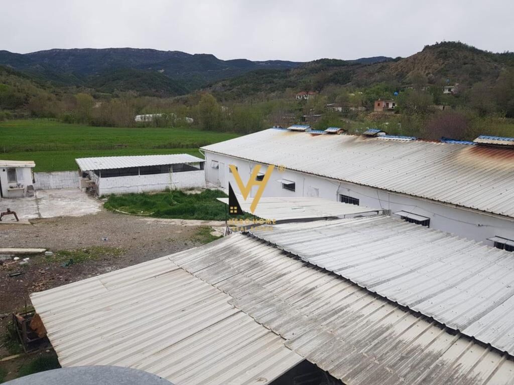 2,000 M2 SPACE FOR RENT IN BALDUSHK 1,600 EURO