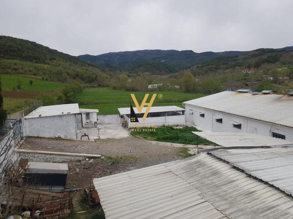 SHITET FERME 1.400 M2 NE BALDUSHK 300.000 EURO