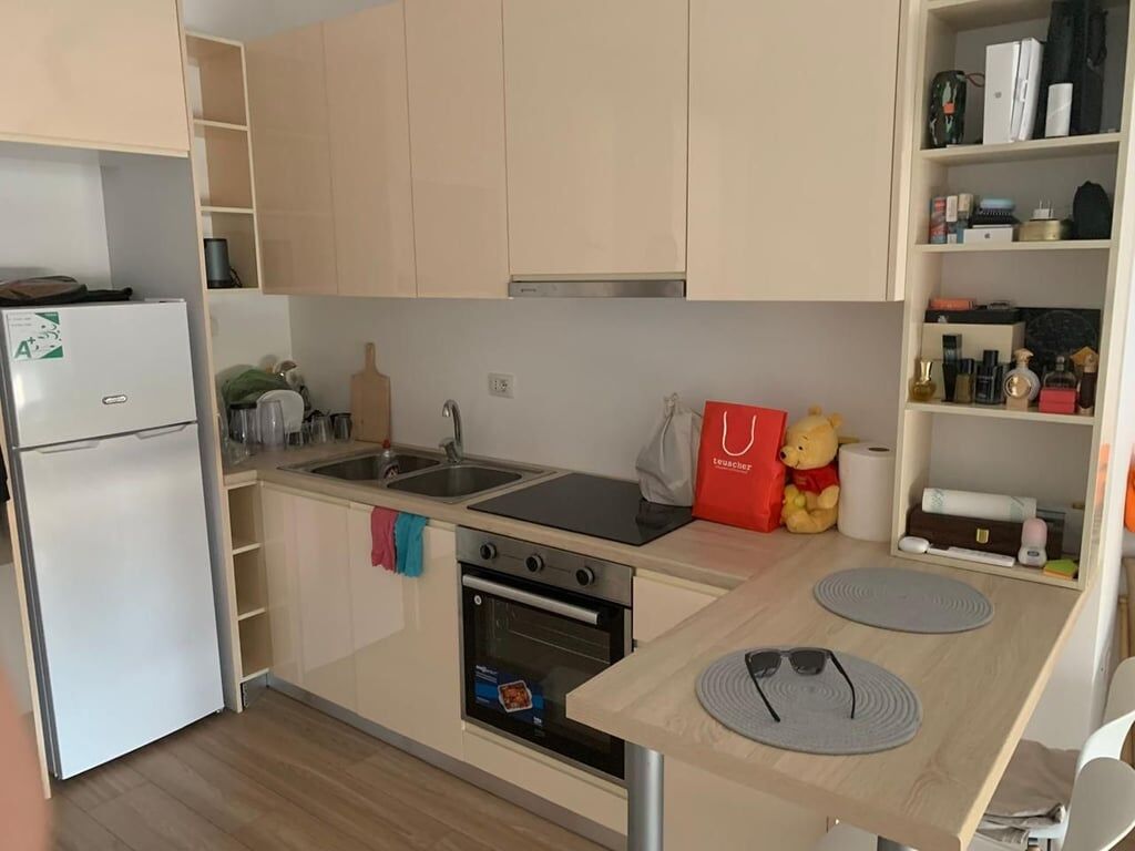 A 1+1 apartment is for rent on December 21 for 550 euros.