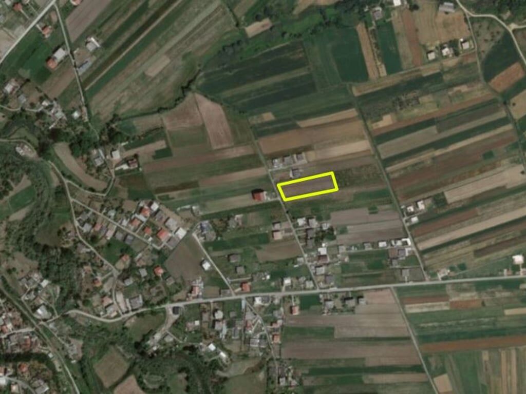 Momel, Terreno per una casa con 130 radici di ulivo