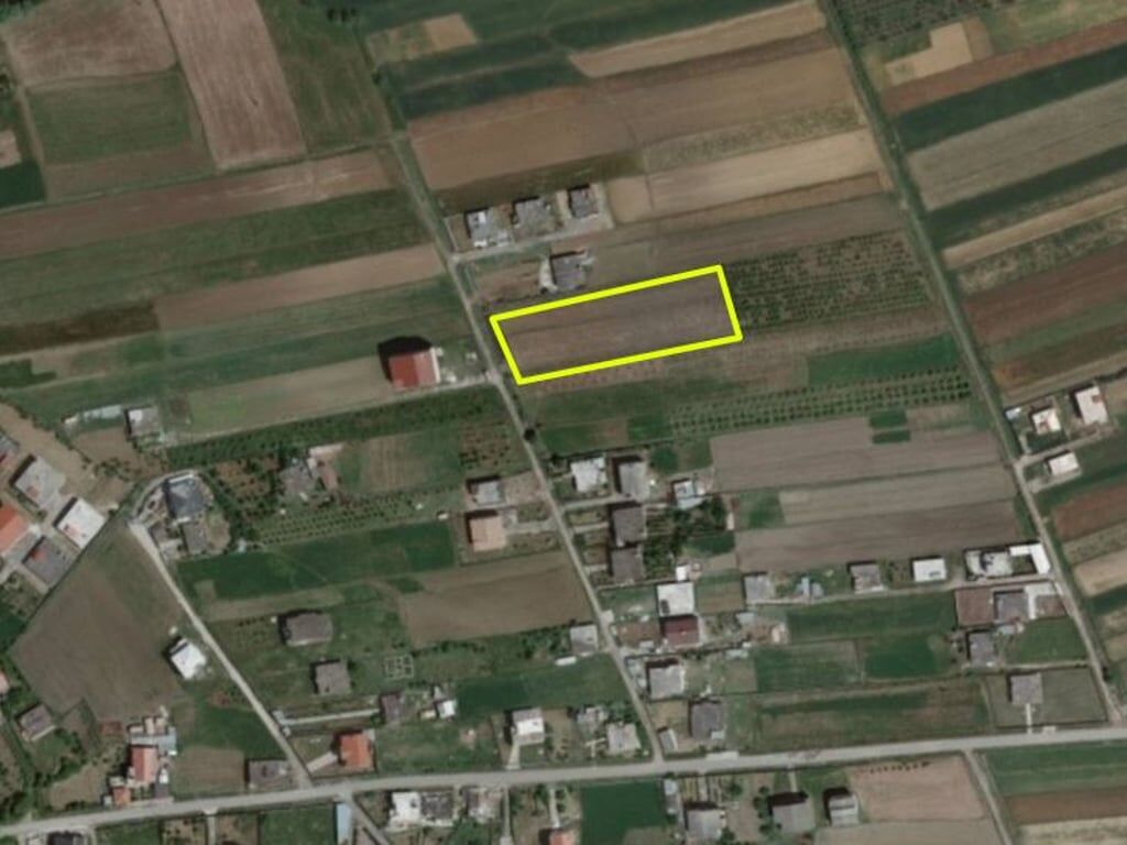 Momel, Terreno per una casa con 130 radici di ulivo