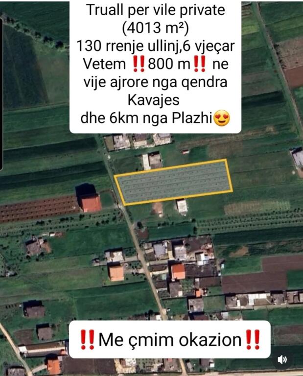 Momel, Terreno per una casa con 130 radici di ulivo