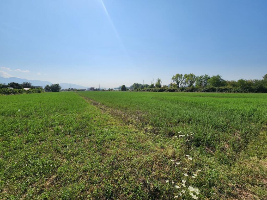 🟤 Terreno in vendita 3500m² Dietro Megatek 🏬 ( Autostrada - Tirana - Durazzo 📍) 160K - Posizione Strategica 🟢