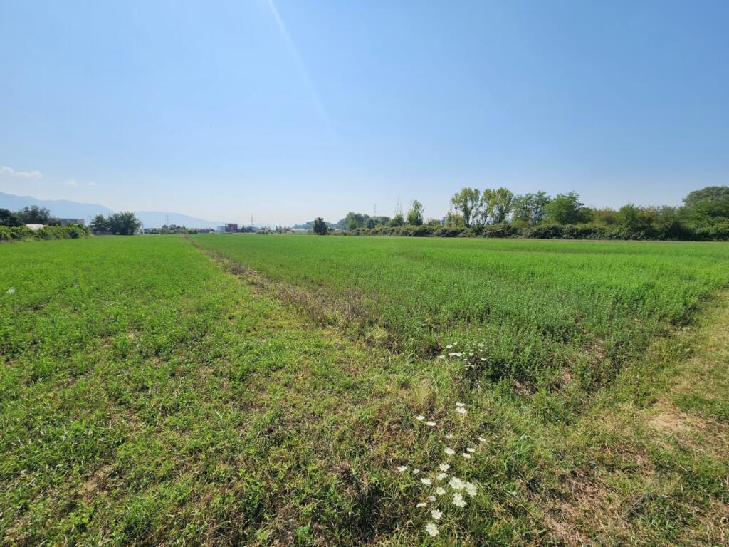 🟤 Terreno in vendita 3500m² Dietro Megatek 🏬 ( Autostrada - Tirana - Durazzo 📍) 160K - Posizione Strategica 🟢