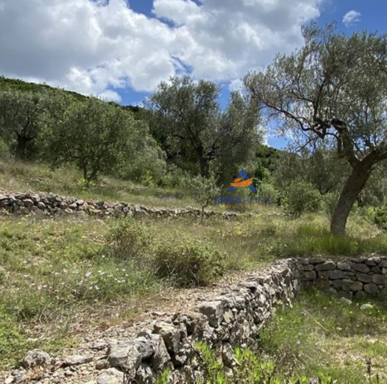 IN VENDITA 4000 M2 TERRENO "PETRELE" 300.000 EURO