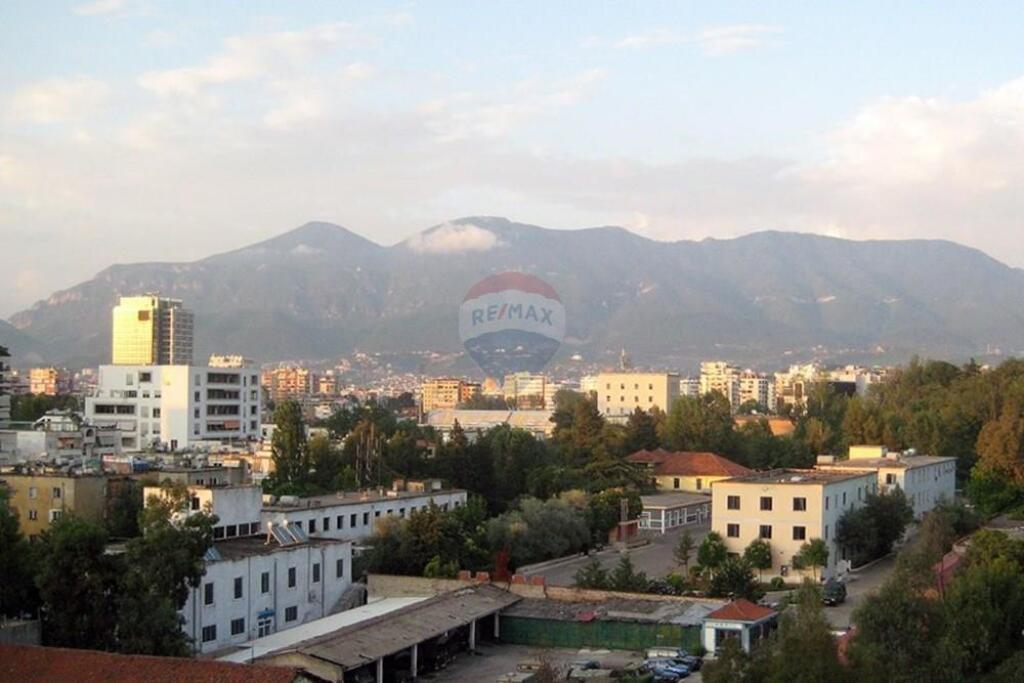 SHITET, AMBIENT BIZNESI, FRESKU, TIRANË, ID: 530581004-7