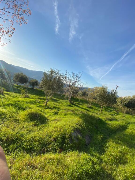 Private house with land for sale