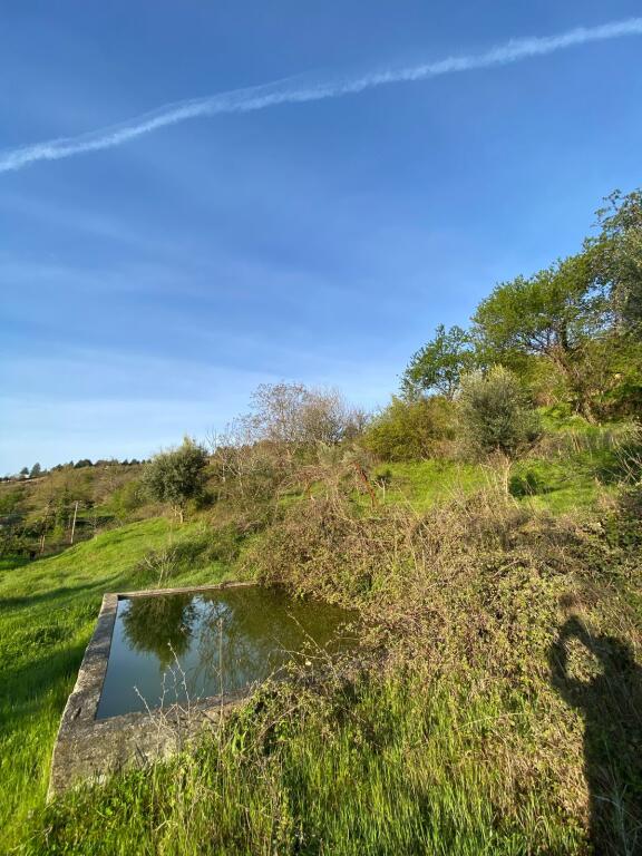 Private house with land for sale