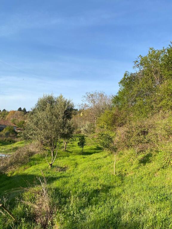 Private house with land for sale