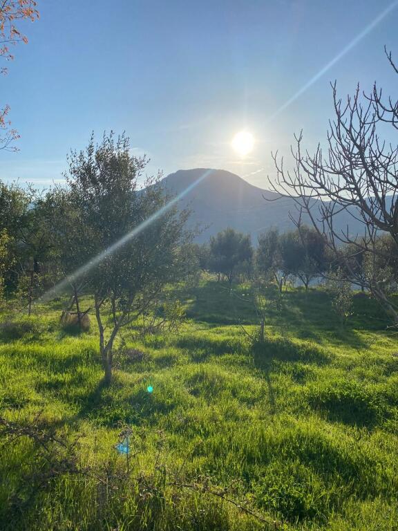 Private house with land for sale