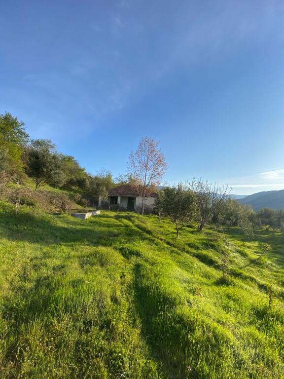 Private house with land for sale