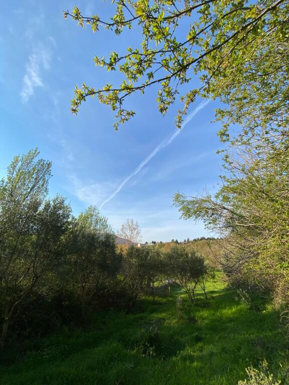 Private house with land for sale