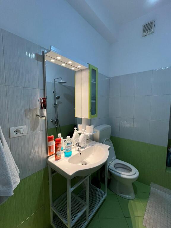 Selvia, studio apartment for rent 46,000 lek