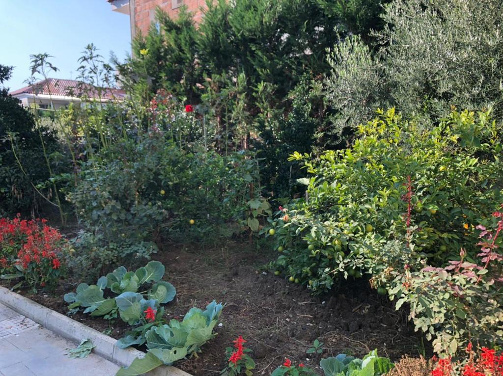 🏡3-storey house for rent (2nd and 3rd floor) near the Agricultural University of Tirana