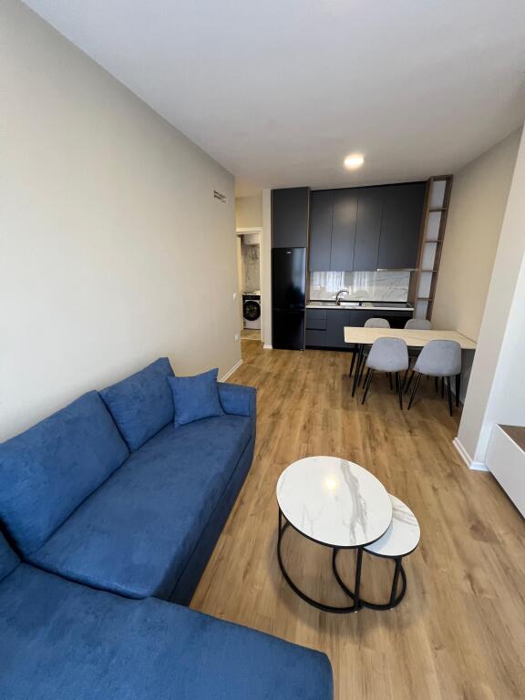 APARTMENT FOR RENT 1+1
