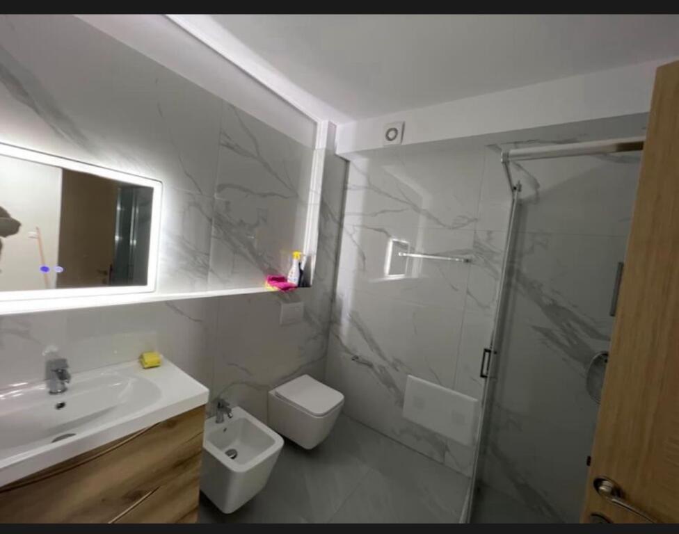 Apartment 1+1 for rent
