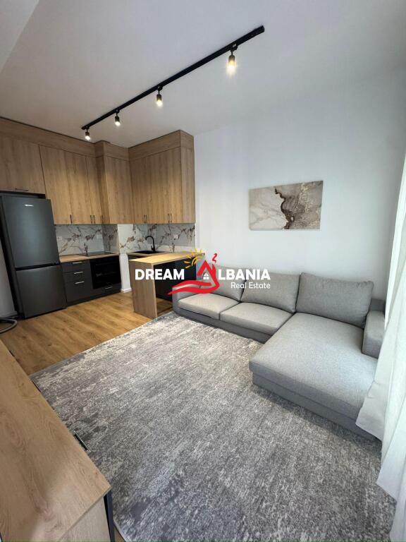 Apartament 1+1 me Qera Ne Fillim te Ali Demit ne Tirane (ID 42111488)