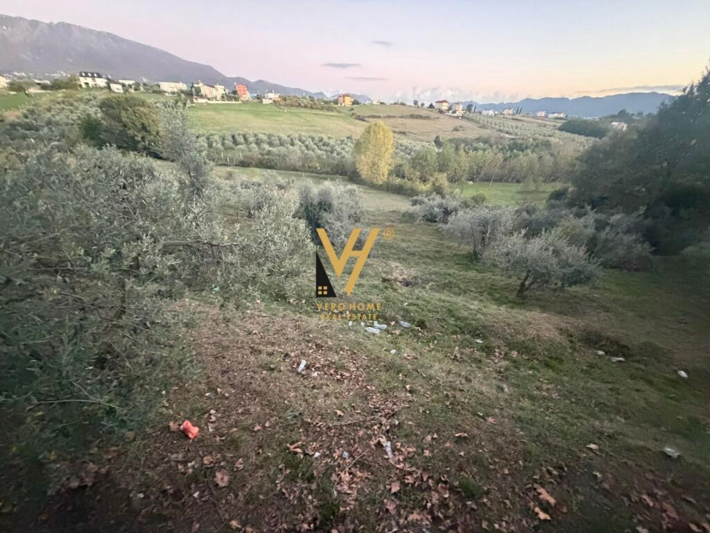 SHITE TOKE ARE 11.500 M2 TE RRUGA E DAXHIT, FARKE 1.730.000 EURO