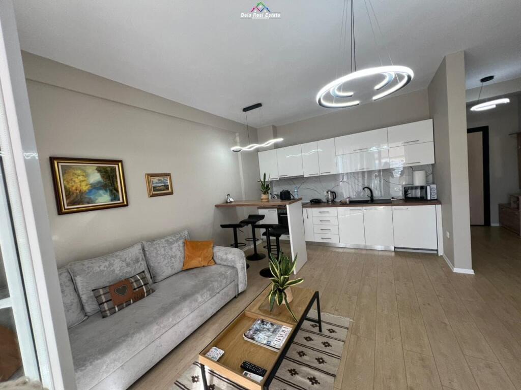 Apartament Me Qera 1+1 prane Shkolles se Baletit (ID B2101212) Tirane
