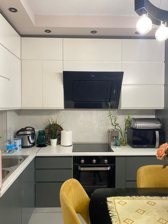 Apartment 1+1 for rent at Dinamo Stadium