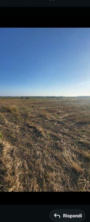 terreno a SPILLE