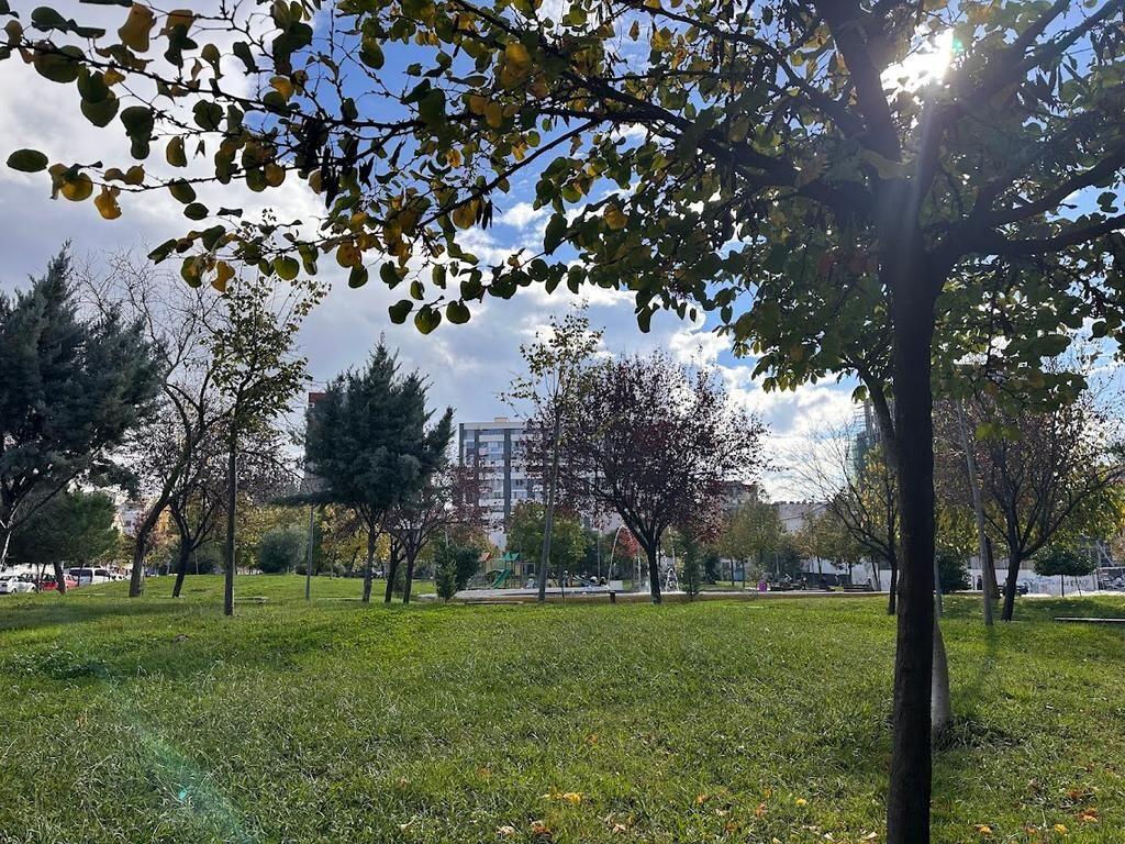 🏡 Apartment 1+1 for Rent – Ali Demi Field, Tirana