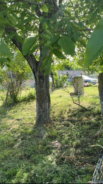 🌿 Opportunità di investimento rara – Terreno in vendita 300 m² a Kashar 1 🌿