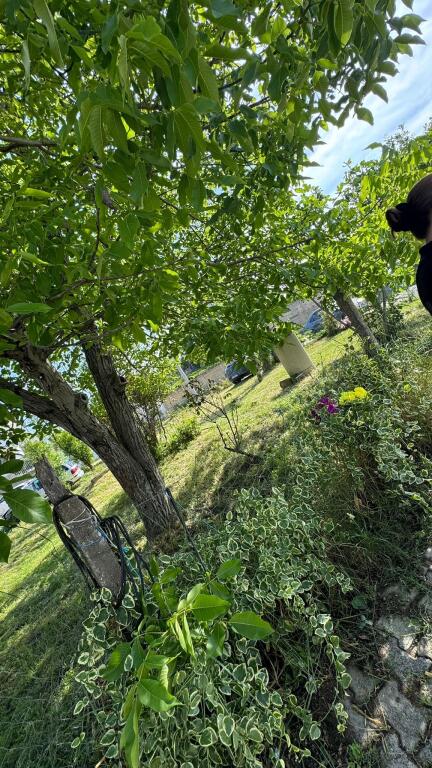 🌿 Opportunità di investimento rara – Terreno in vendita 300 m² a Kashar 1 🌿