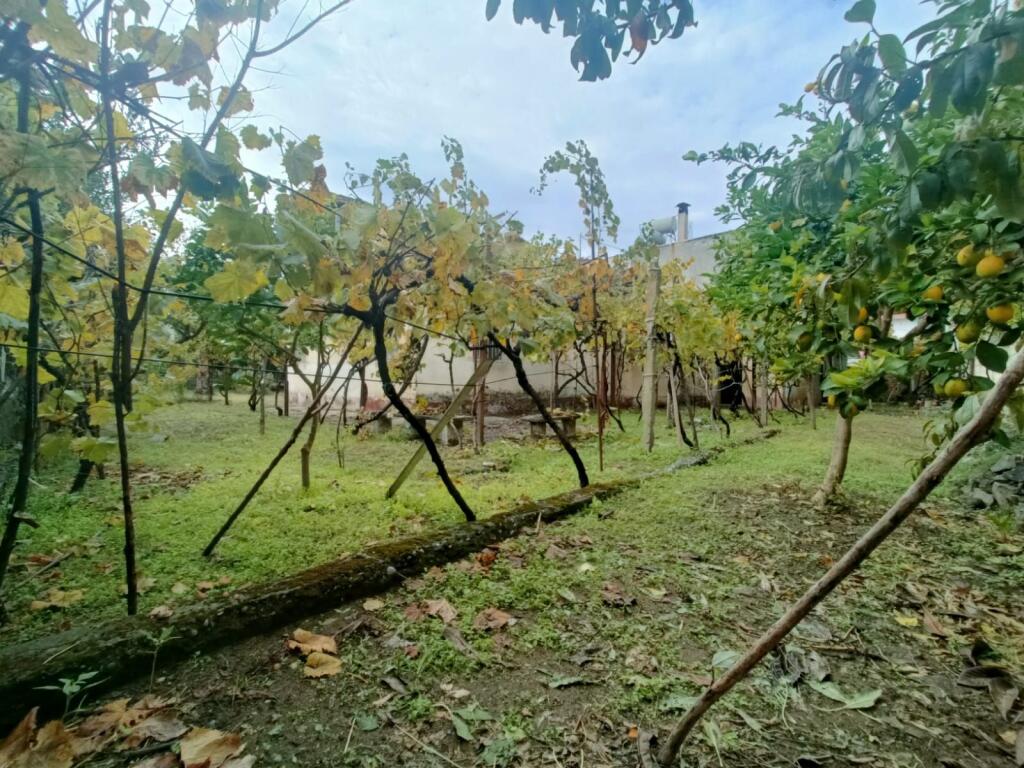 Shiten 2 shtëpi dykatëshe me truall në Durrës Plazh