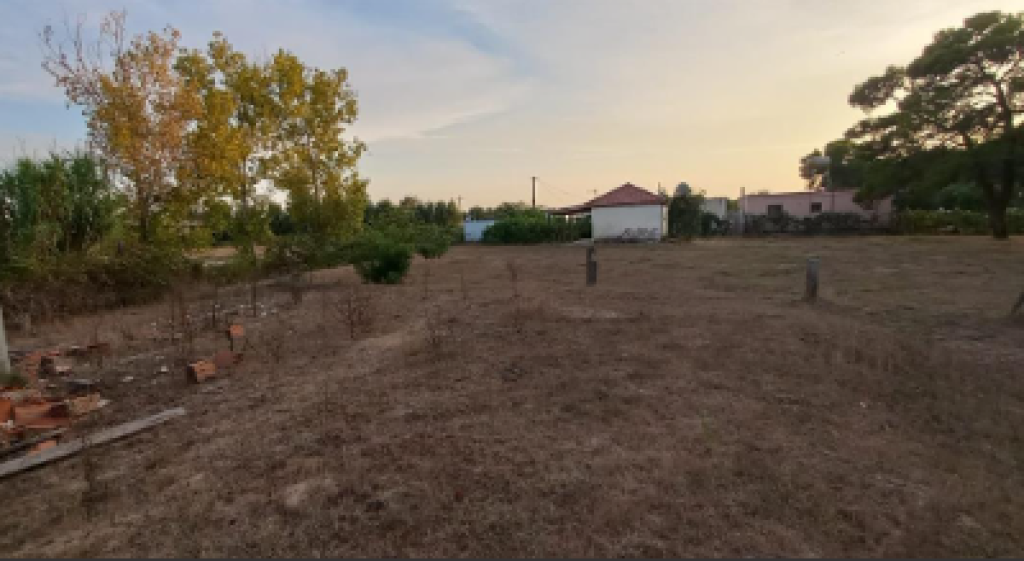 TERRENO IN VENDITA 300M+ Are 600M NEL SETTORE RINIA
