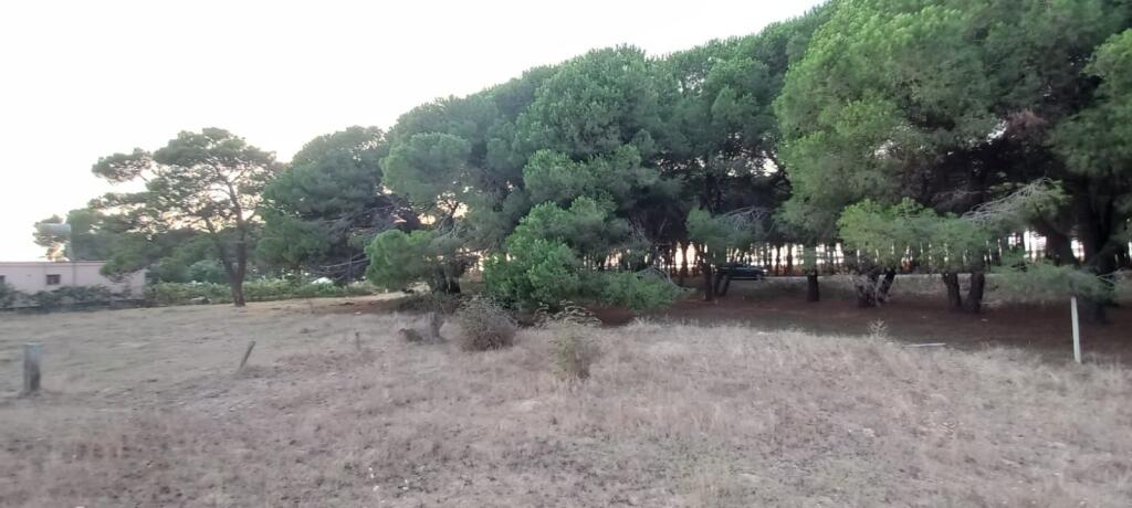 TERRENO IN VENDITA 300M+ Are 600M NEL SETTORE RINIA