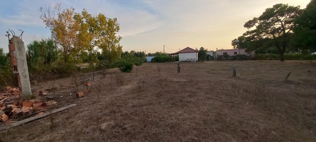 TERRENO IN VENDITA 300M+ Are 600M NEL SETTORE RINIA