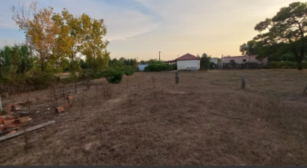 TERRENO IN VENDITA 300M+ Are 600M NEL SETTORE RINIA