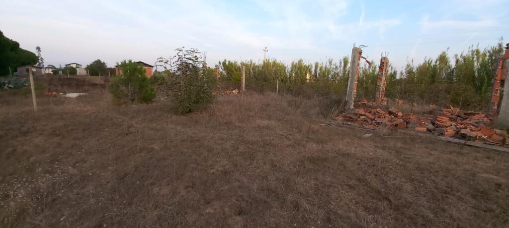 Terreno Agricolo in Vendita Settore Rinia Durres