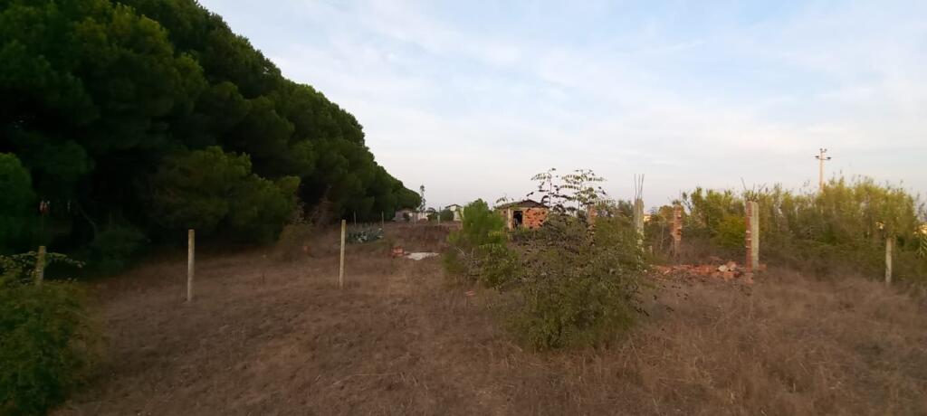 TERRENO IN VENDITA 300M+ Are 600M NEL SETTORE RINIA