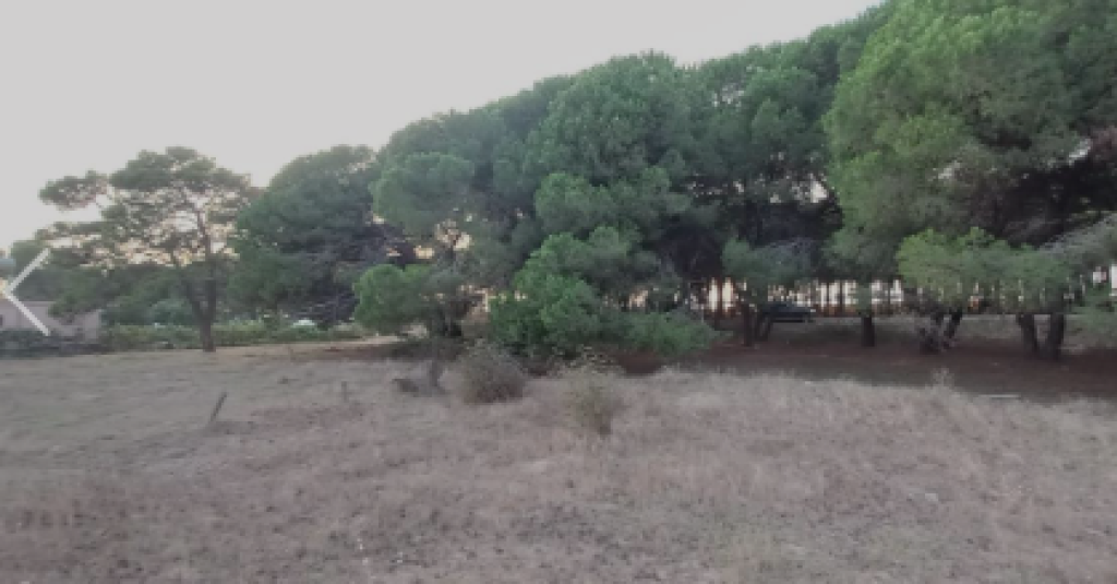 TERRENO IN VENDITA 300M+ Are 600M NEL SETTORE RINIA