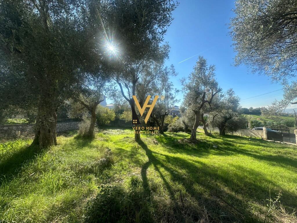 LAND FOR SALE 700 M2 IN BABRRU 150,000 EURO