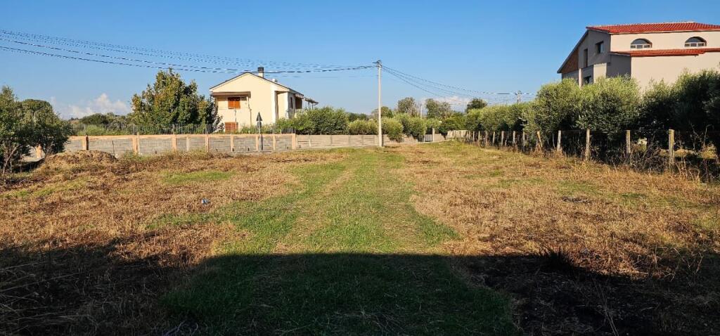 Olive Grove Land + House Construction Spot for Sale – Ballias, Shijak