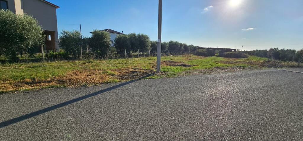 Olive Grove Land + House Construction Spot for Sale – Ballias, Shijak