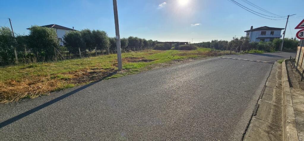 Olive Grove Land + House Construction Spot for Sale – Ballias, Shijak