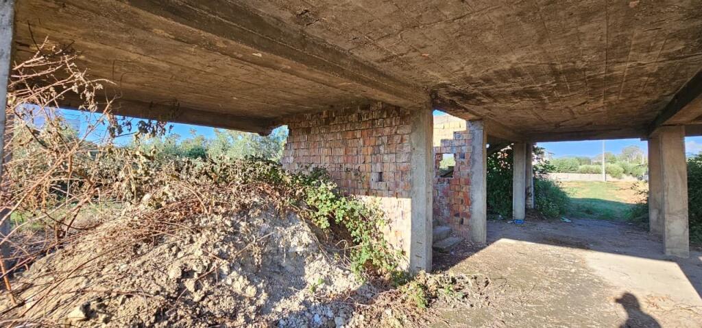 Olive Grove Land + House Construction Spot for Sale – Ballias, Shijak