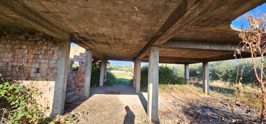 Olive Grove Land + House Construction Spot for Sale – Ballias, Shijak