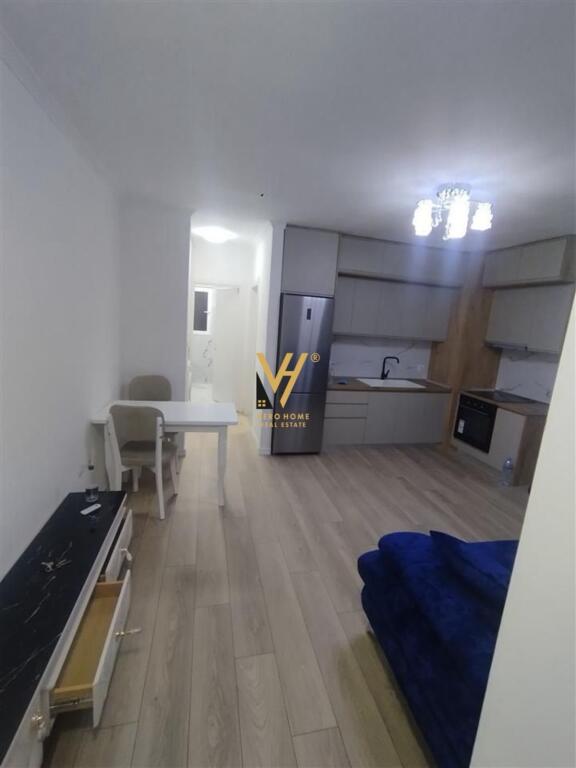 APARTMENT 1+1+BLK FOR RENT IN SELITE 450 EURO