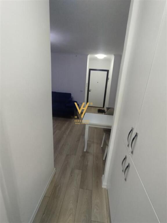 APARTMENT 1+1+BLK FOR RENT IN SELITE 450 EURO
