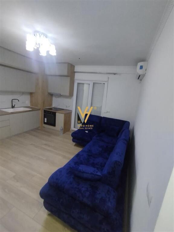 APARTMENT 1+1+BLK FOR RENT IN SELITE 450 EURO